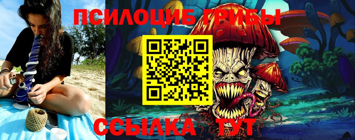 Псилоцибиновые грибы Psilocybine cubensis  Псилоцибиновые грибы Cubensis  Вход с VPN  Рузаевка 