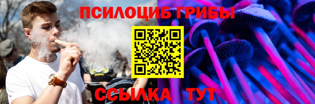 Галлюциногенные грибы Psilocybe Рузаевка